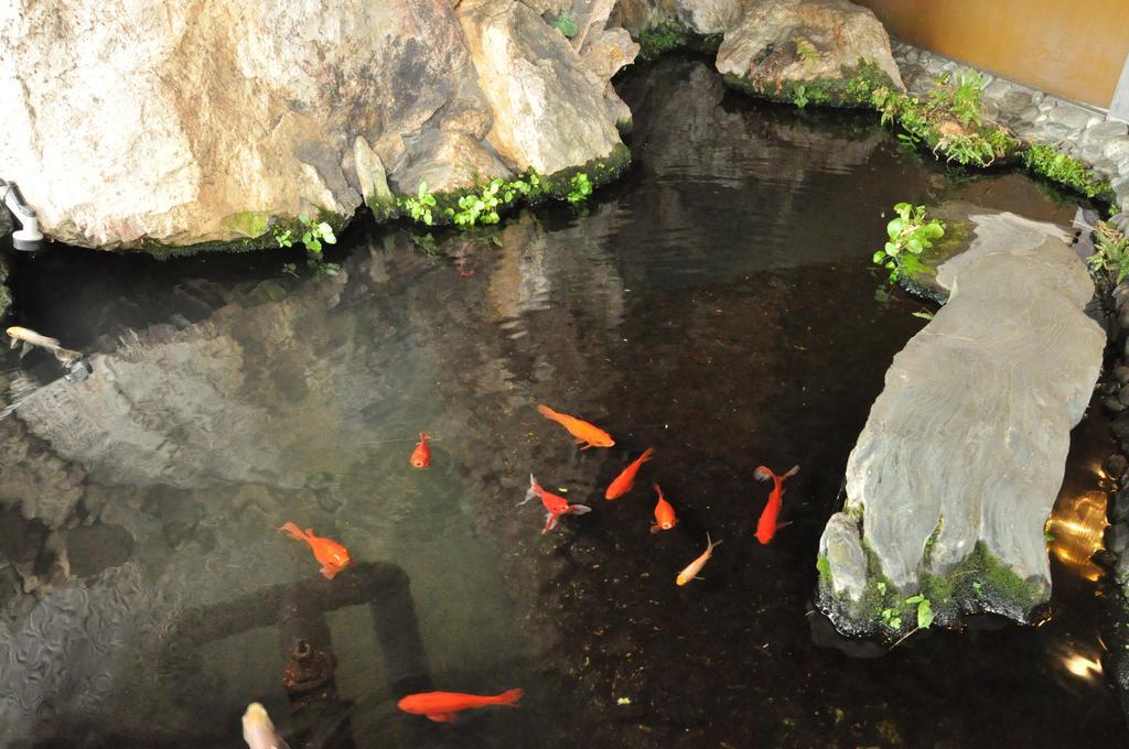 Ryokan Kichiman Kōchi Dış mekan fotoğraf